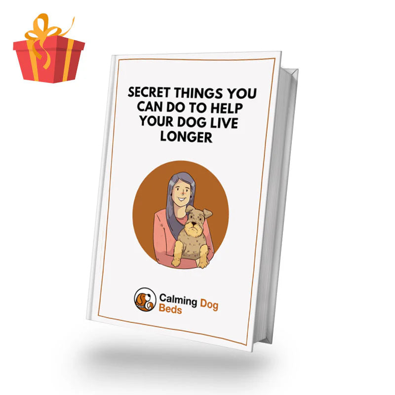 Official Calming Donut Dog Bed