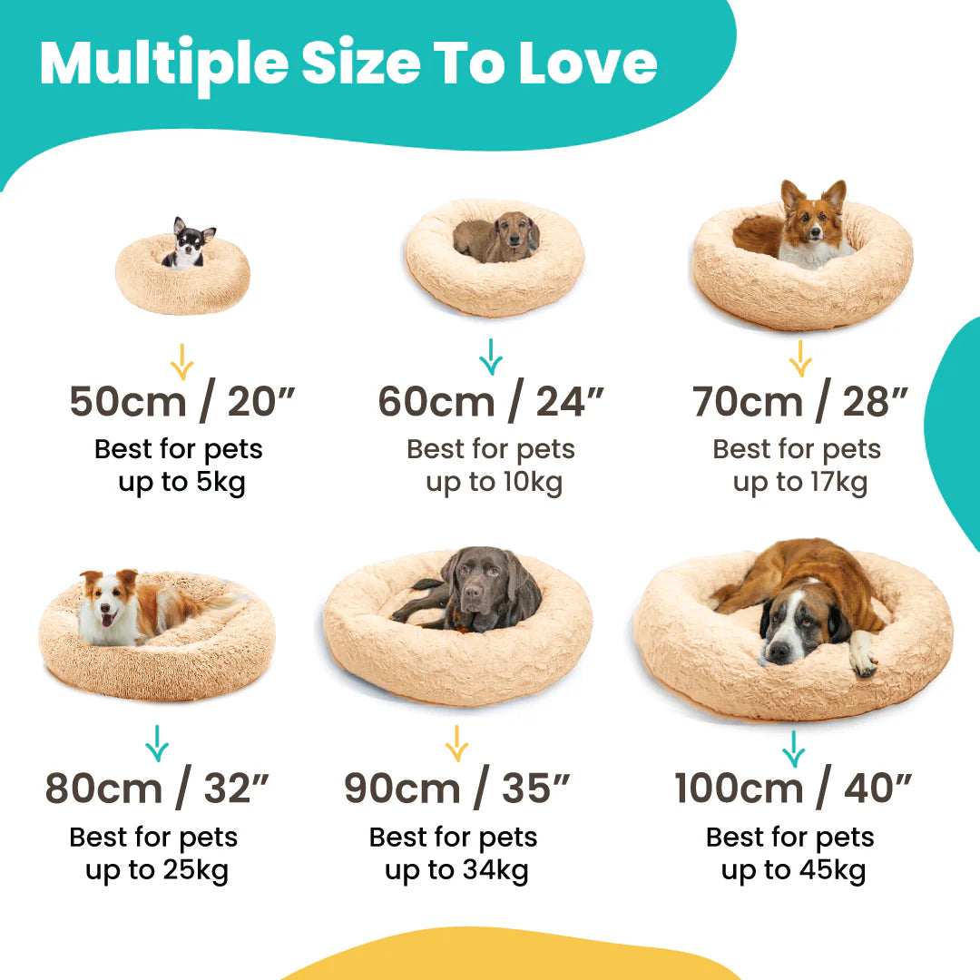 Reduce Stress, Anxiety and Give Your Dog a Better Sleep